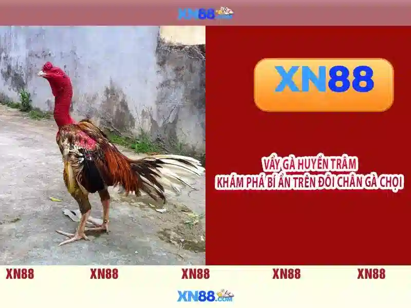 💎nhà cái tặng tiền yadanarbon💎