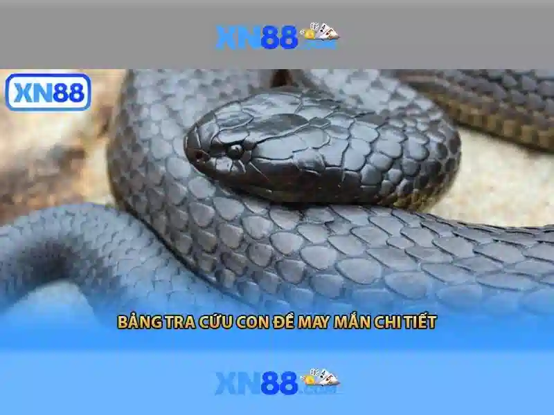 💎wizards spell slot💎