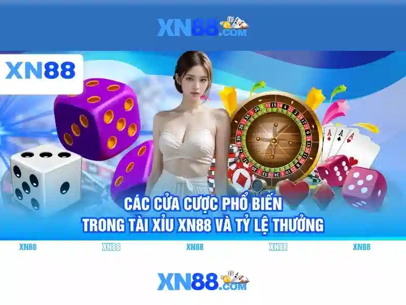 💎mèo tam thể cái vào nhà💎