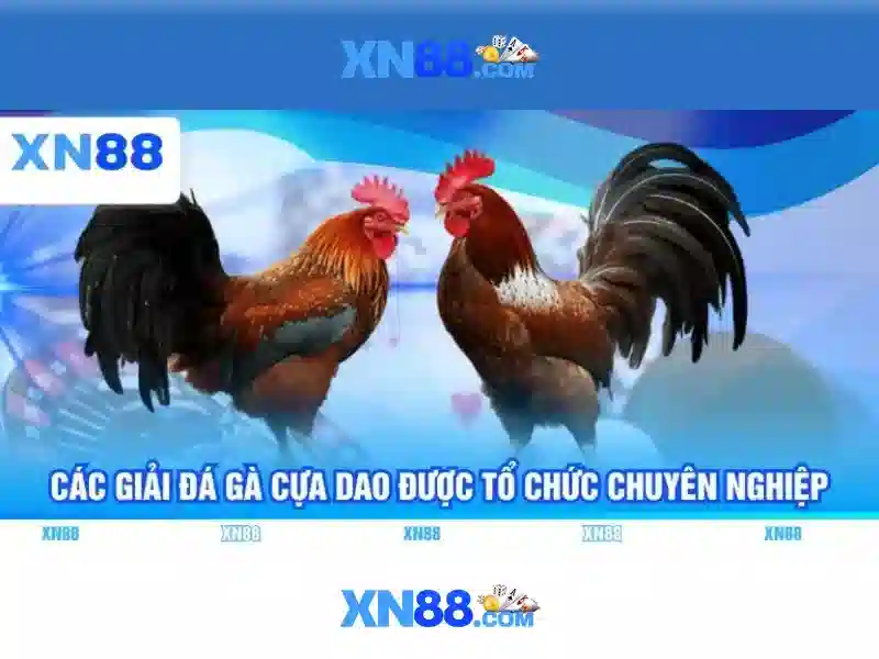 Đăng ký tài khoản XN88｜Nền tảng cá cược trực tuyến uy tín hàng đầu châu Á - XN88