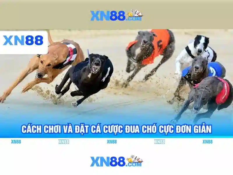 💎free slots new💎