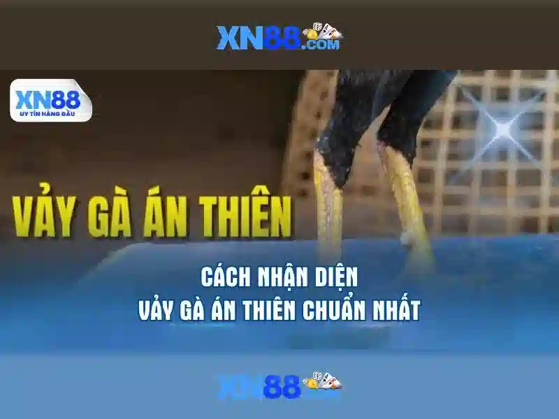 💎án phạt đánh bạc💎