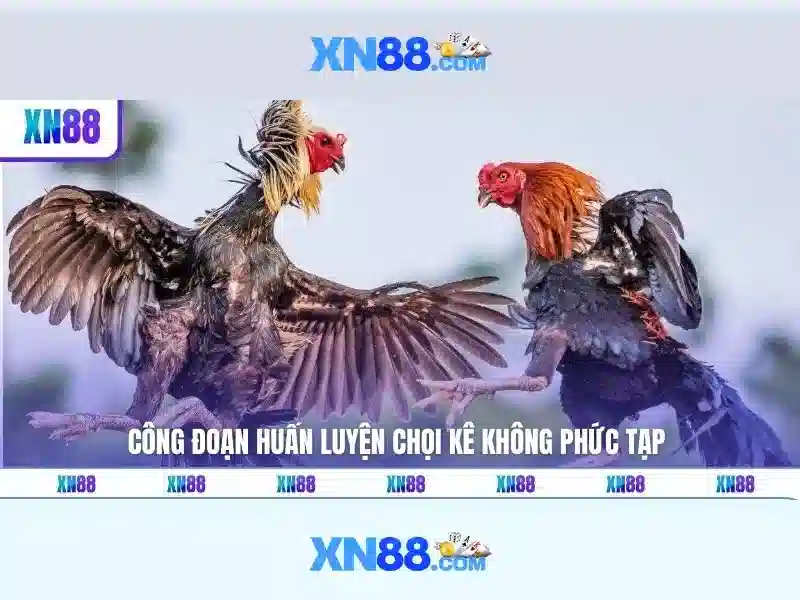 XN88 - Trải Nghiệm Slot Đổi Thưởng Đỉnh Cao Với xn88 app - XN88