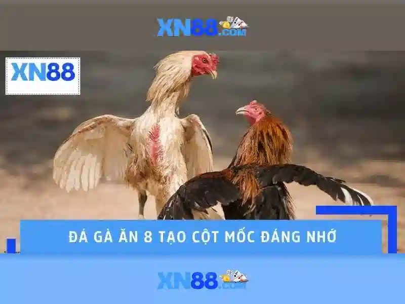 💎cải tạo nhà cũ giá bao nhiêu💎