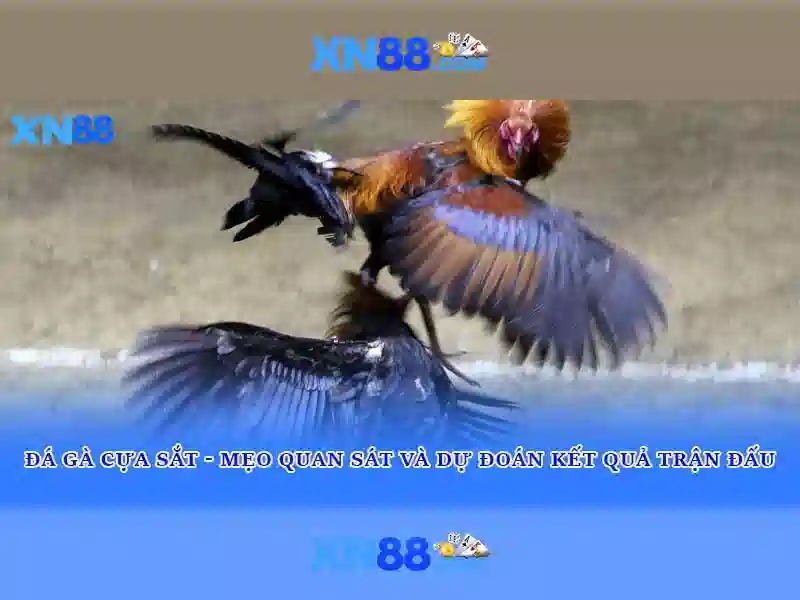 💎slot la gì trong free fire💎