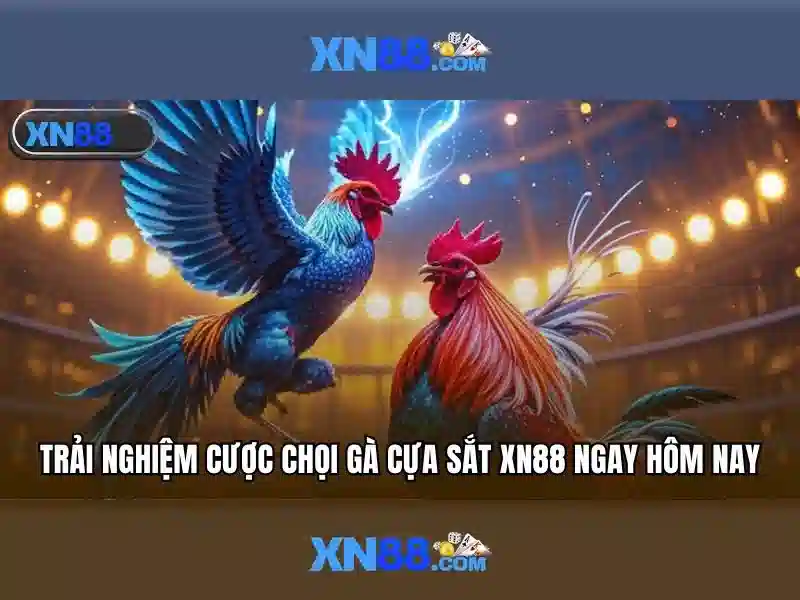 💎bóng đá truc tiep keo nha cai💎