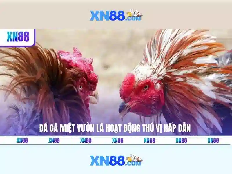 💎kèo nhà cái trận argentina hôm nay💎