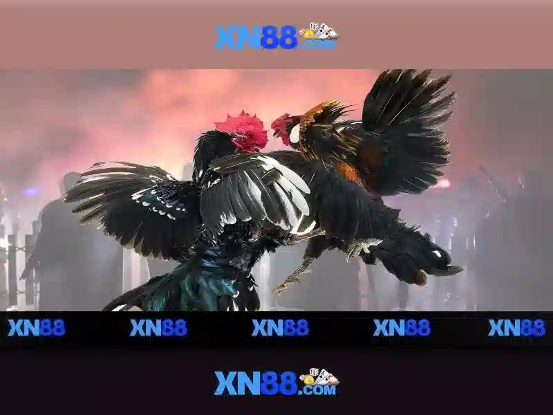 💎online slot kazino💎