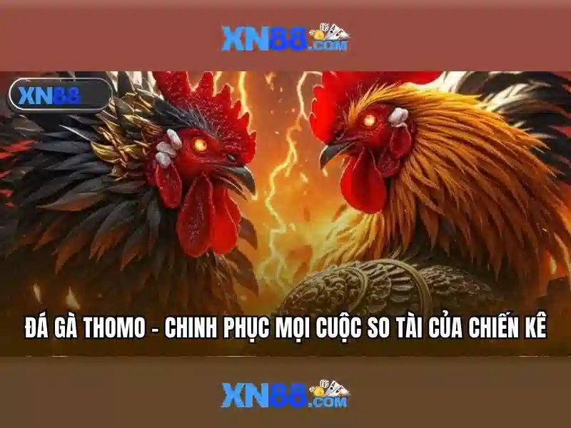 💎cá cược bóng đá 88💎