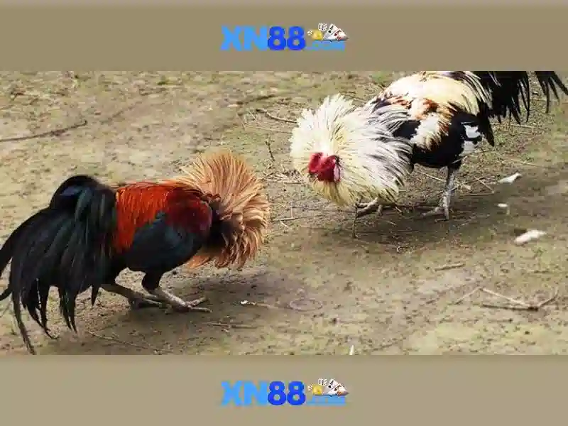 💎thời tiết sông luỹ, bắc bình, bình thuận💎