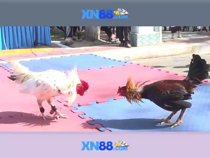 💎w88 link vao nha cai w88💎