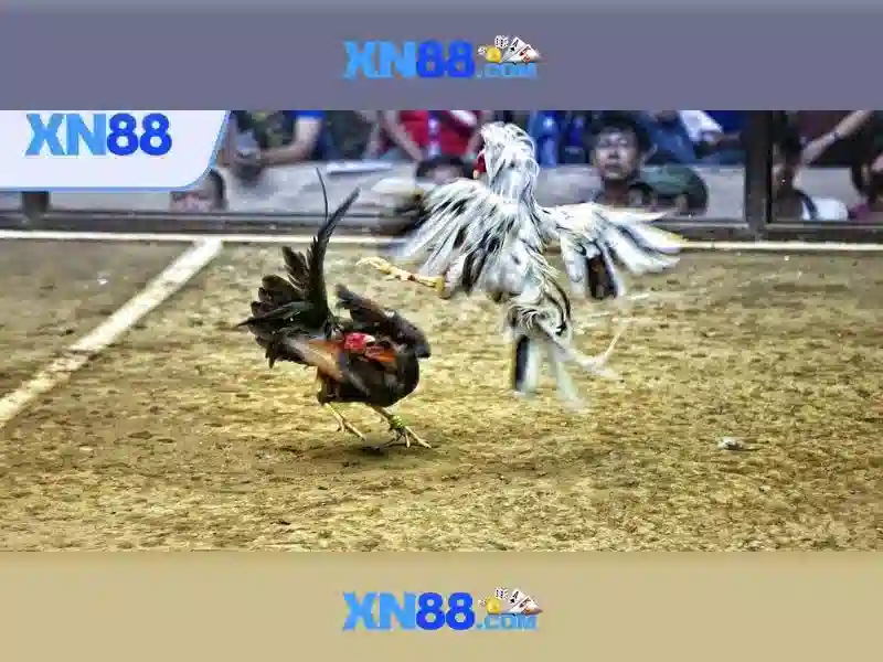 💎nha cai so 1 tnc 365💎