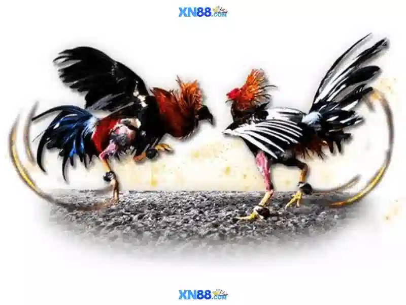 💎nhà cái uy tín vl💎