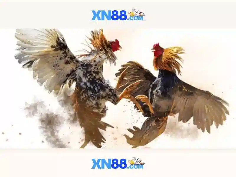 💎vegas high roller slots💎