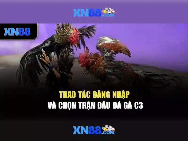 💎tỷ lệ cá cược tennis💎