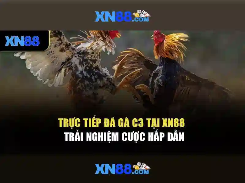  Trải nghiệm cá cược - XN88