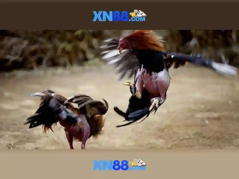 💎fire hot 20 slot free play💎