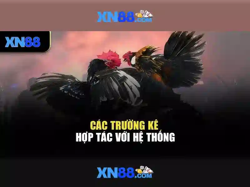 💎888slot sam hồ chí minh💎