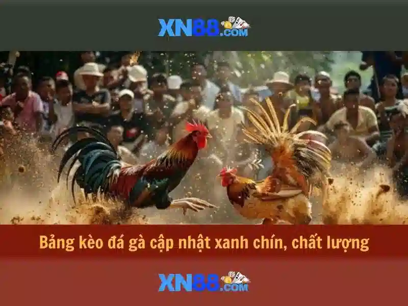 💎cách xem cá cược bóng đá💎