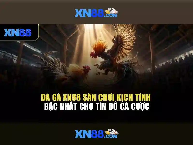 💎ti le bd keo nha cai💎