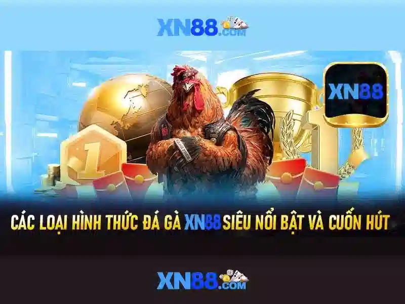 💎bd kq nha cai💎