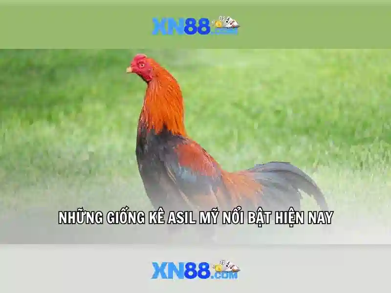 💎các quy định về tội đánh bạc💎