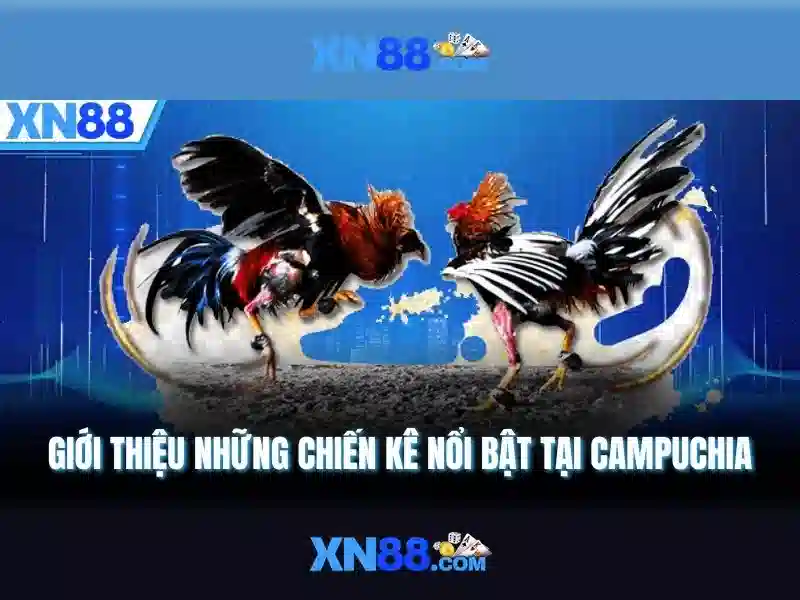 💎66b nguyễn sỹ sách p15 tân bình trường con💎 - lộc quán 66b đặng tiến đông - đánh giá 66b