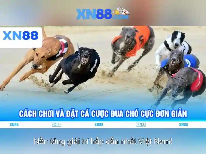  tài khoản xn88 - XN88