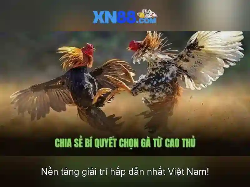 💎guess gu00198-h 66b💎 - 66b nguyen si sach - aurora 64b/66b