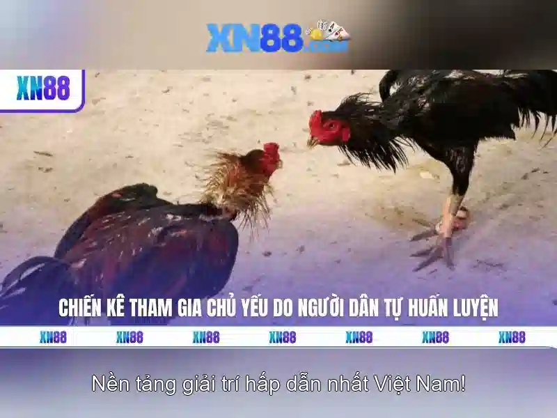 💎kk xn88 casino login💎
