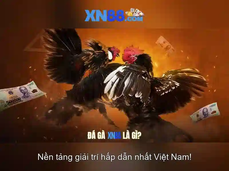 💎hb88 thành phố hồ chí minh💎