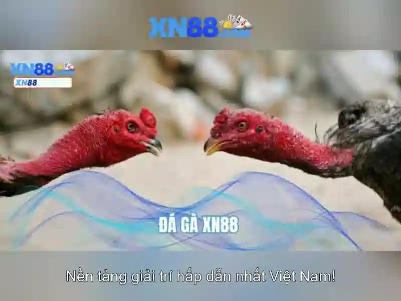 💎cd 66b pe💎 - sân cầu lông 66b triều khúc - dublin bus 66b