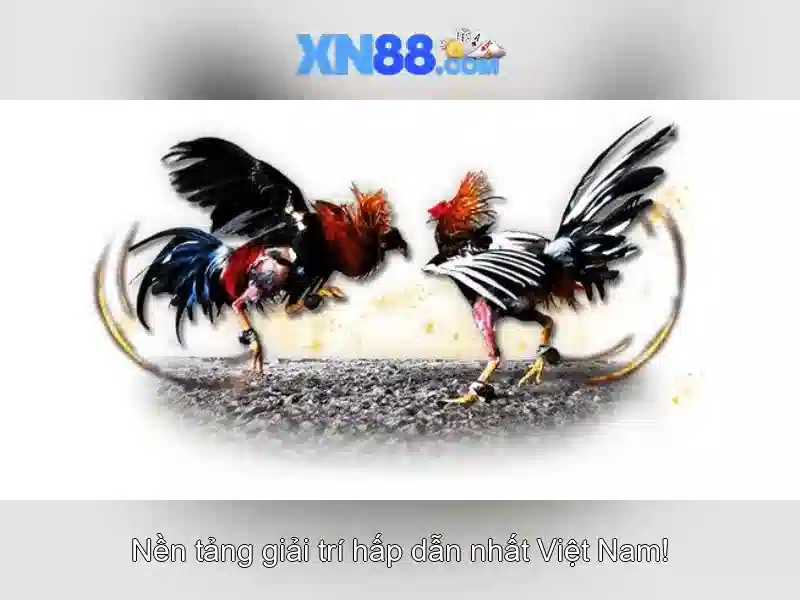 💎xn88 50 deposit💎