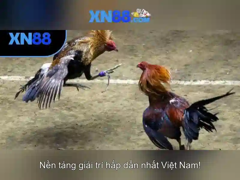 💎netbet slots promo code💎