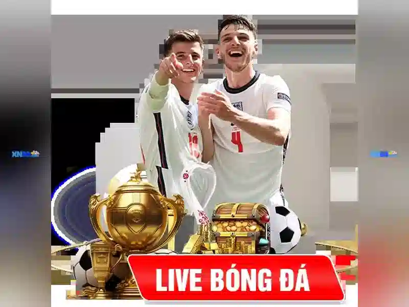 💎nhà cái cá cược winchestermass💎