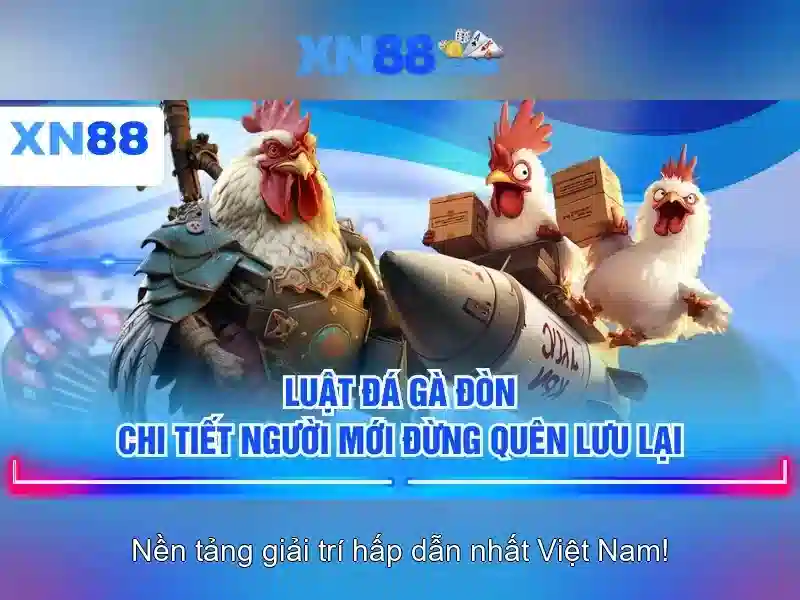 💎nhà cái bóng đá trực tiếp hôm nay💎