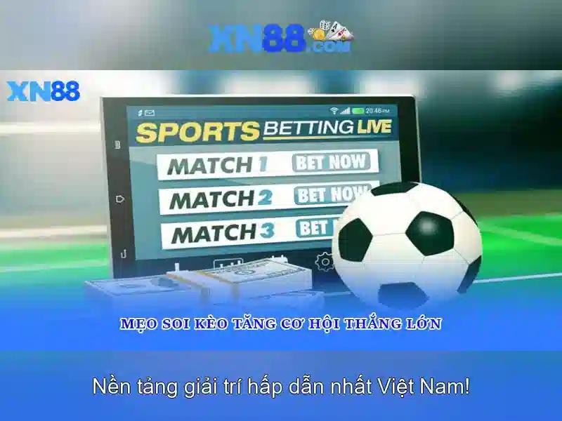 💎vue test utils slot💎