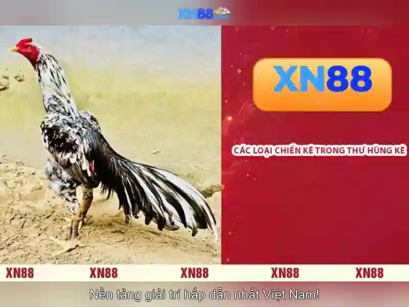 💎66b games💎 - casino 66b - hoogoorddreef 66b 1101 be amsterdam