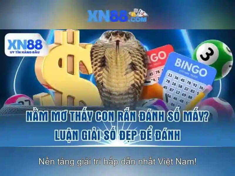 xn88 - Nền tảng cược trực tuyến tối ưu và an toàn