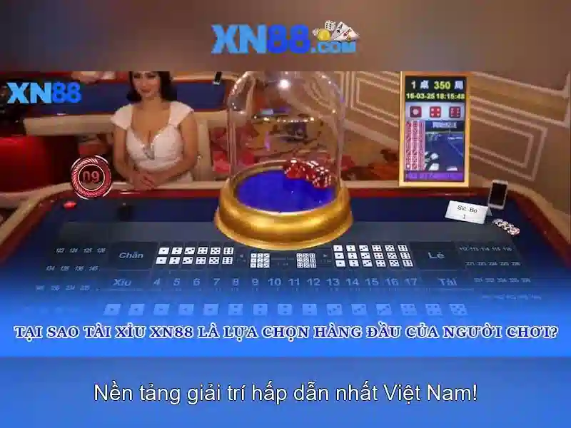💎cước cá lội sân đình - ngư ông bắt cá💎