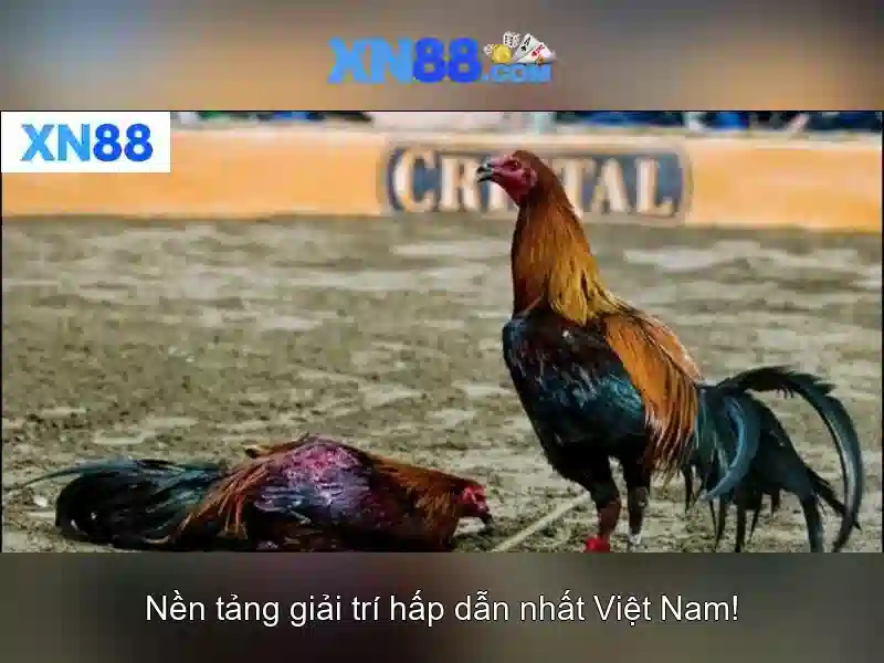 💎slots deutsch bedeutung💎