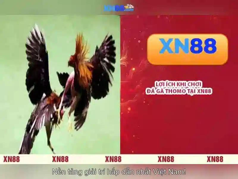 💎cước câu cá nhật bản chính hãng💎