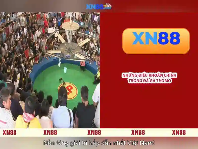 💎trường con 66b nguyễn sĩ sách💎 - 66b nguyen sy sach - akai fmt-66b