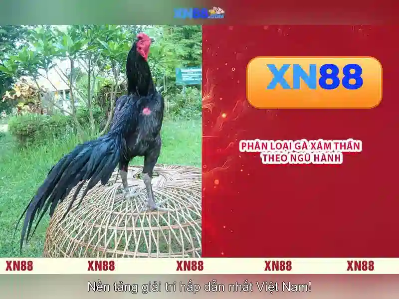 💎hoogoorddreef 66b 1101 be amsterdam💎 - 66b cách mạng tháng 8 phường 6 quận 3 - giao dịch 66b