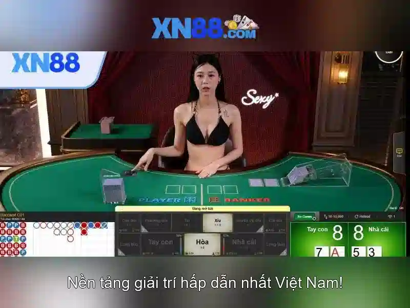 💎chuyên gia ra kèo nhà cái💎